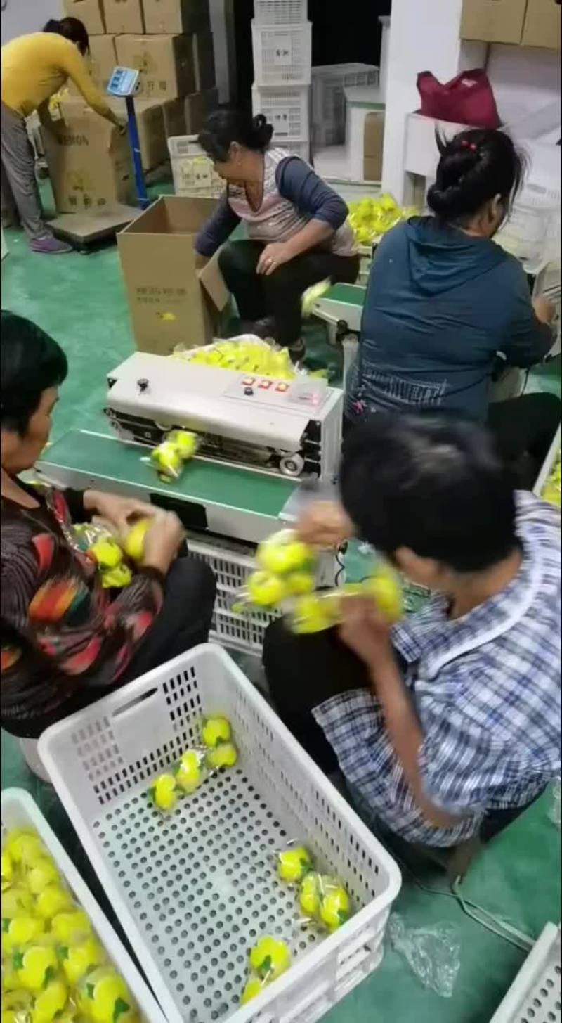 优质安岳尤力克
