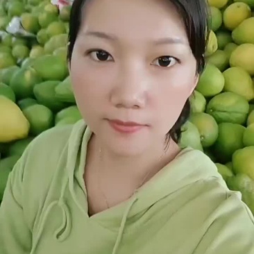 宋珍冰糖柚
