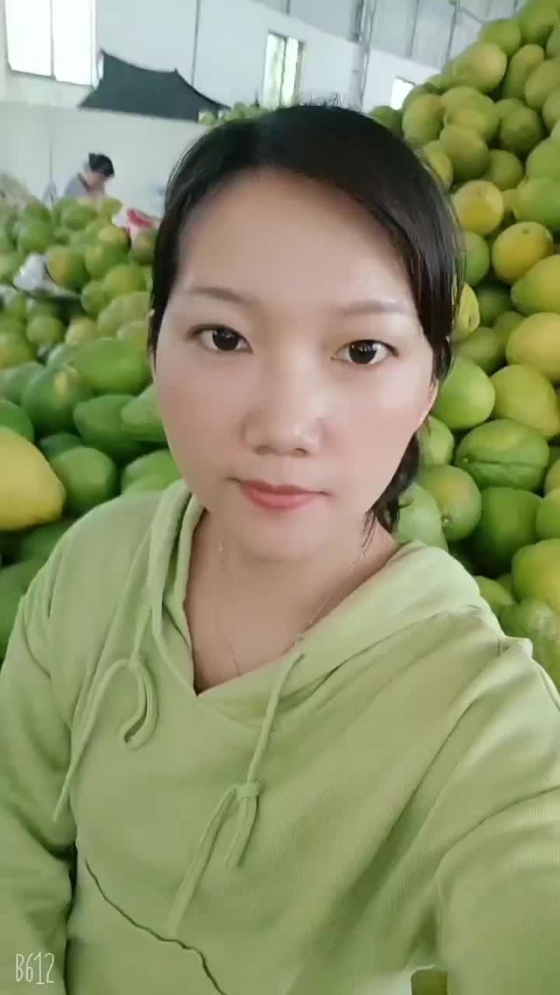 宋珍冰糖柚