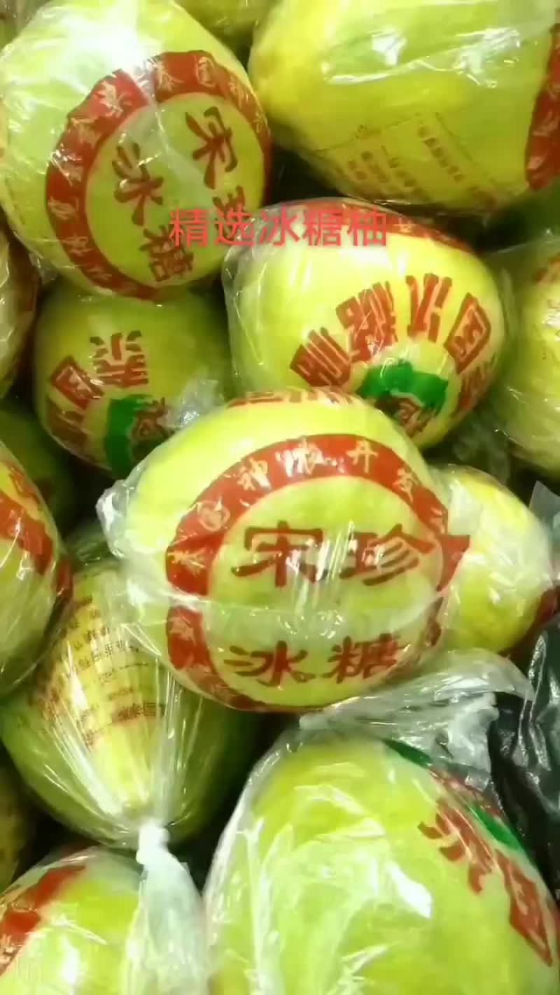 宋珍冰糖柚