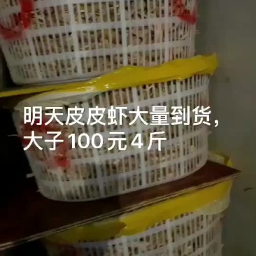 皮皮虾批发