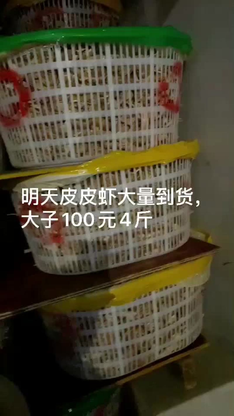 皮皮虾批发
