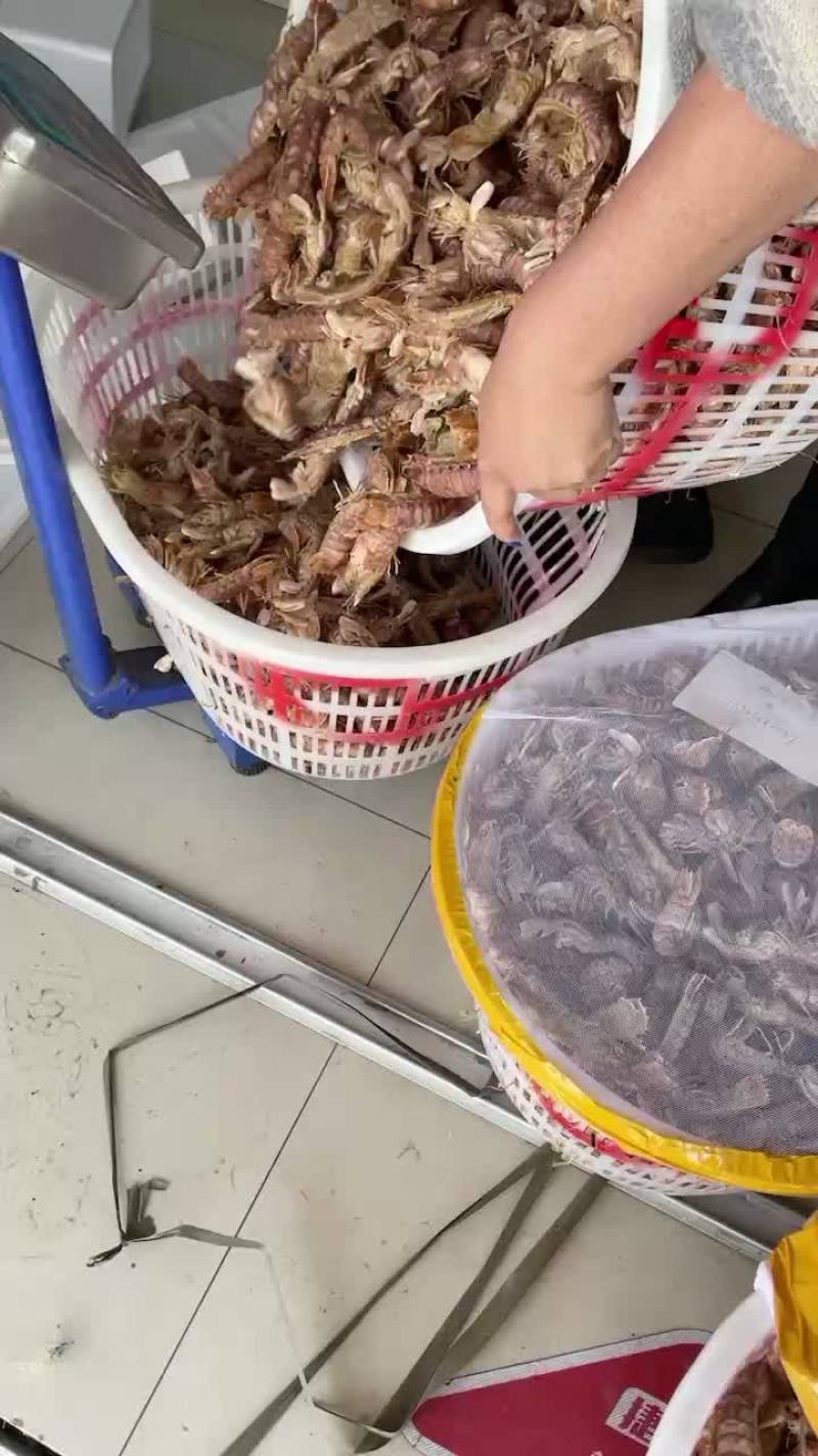 皮皮虾批发