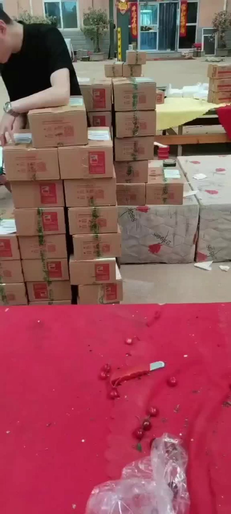 樱桃，，车厘子，，进口，国产，，一手货源充足供应链，，