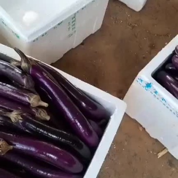 中等货