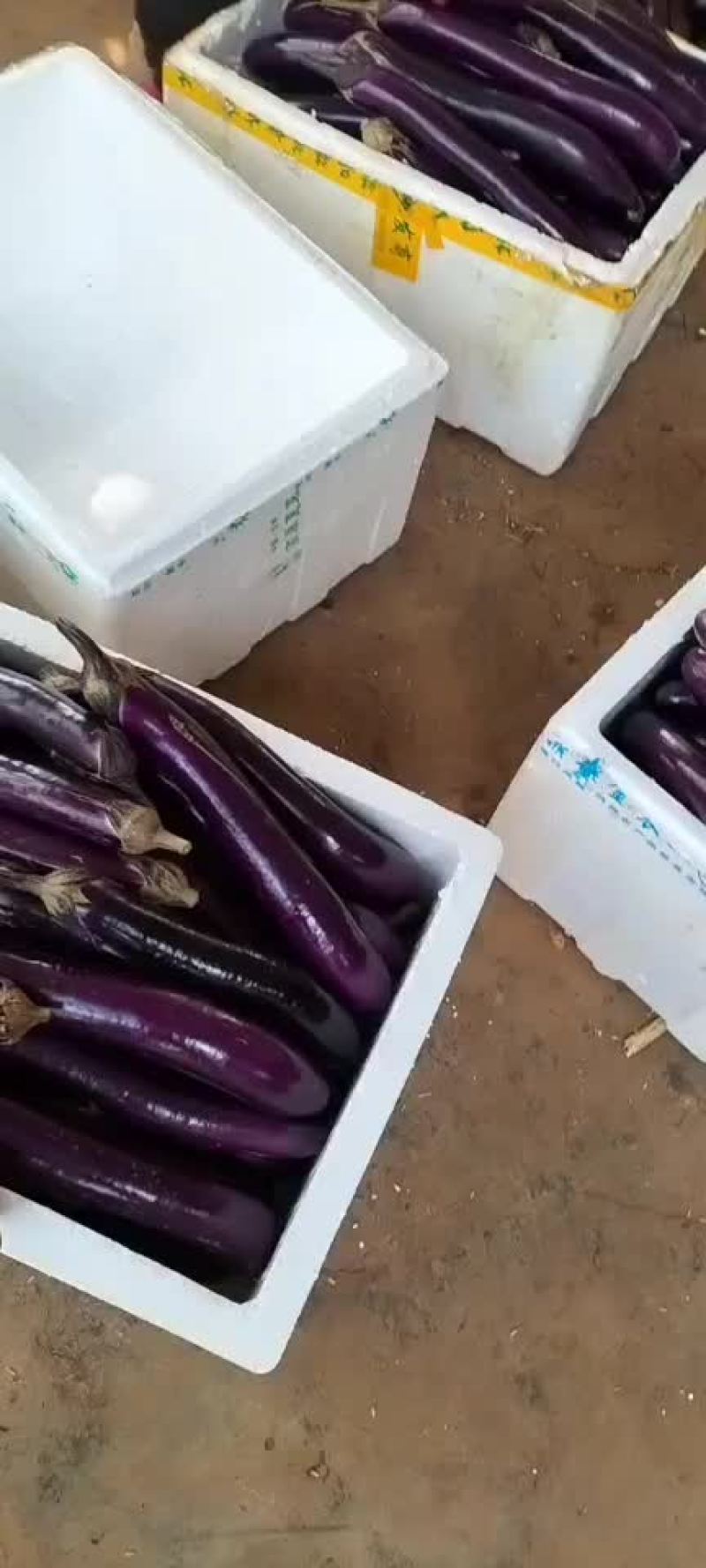 中等货