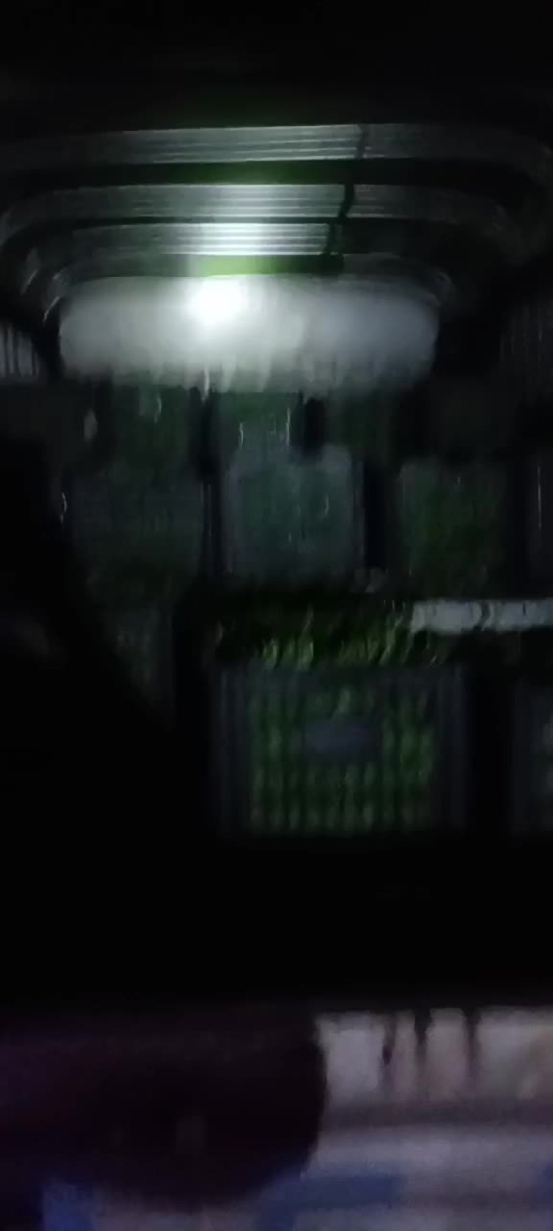 豌豆荚