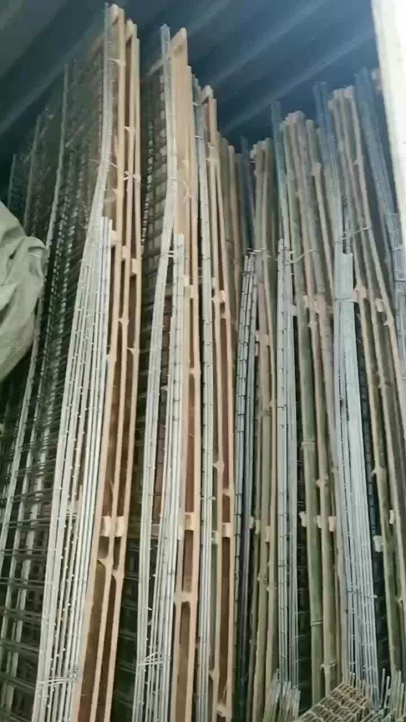 AAA种兔养殖繁育基地欢迎新老客户前来考察免费提供笼子饲