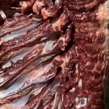现杀无水鲜驴肉，保证质量！