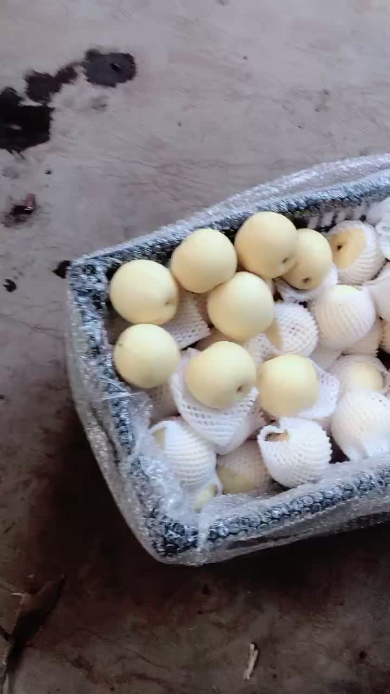 框装皇冠梨，海量货源，对接电商平台，超市市场