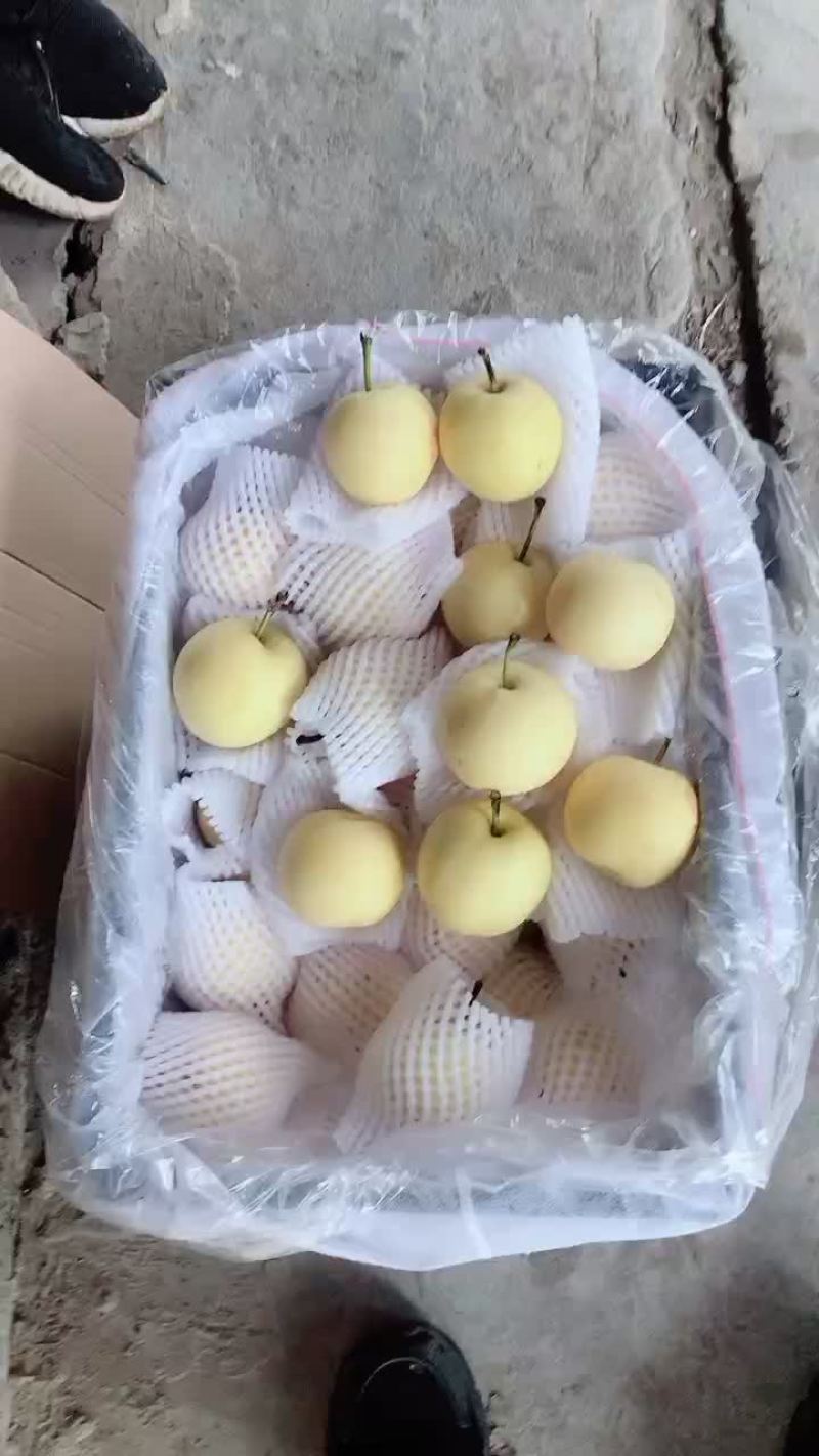 框装皇冠梨，海量货源，对接电商平台，超市市场