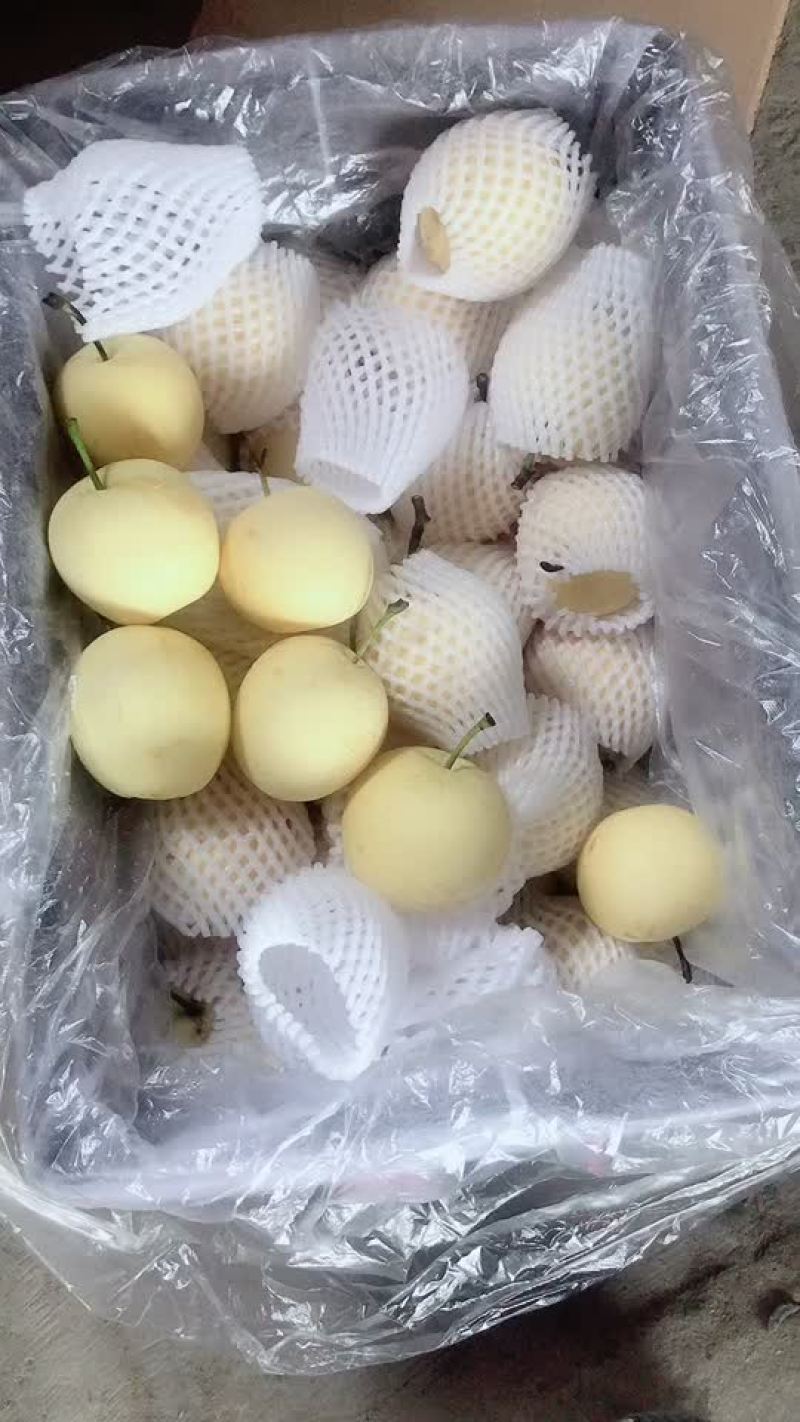 框装皇冠梨，海量货源，对接电商平台，超市市场