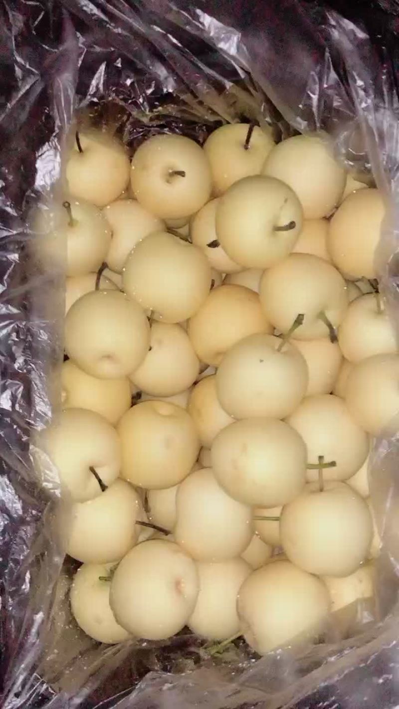 框装皇冠梨，海量货源，对接电商平台，超市市场