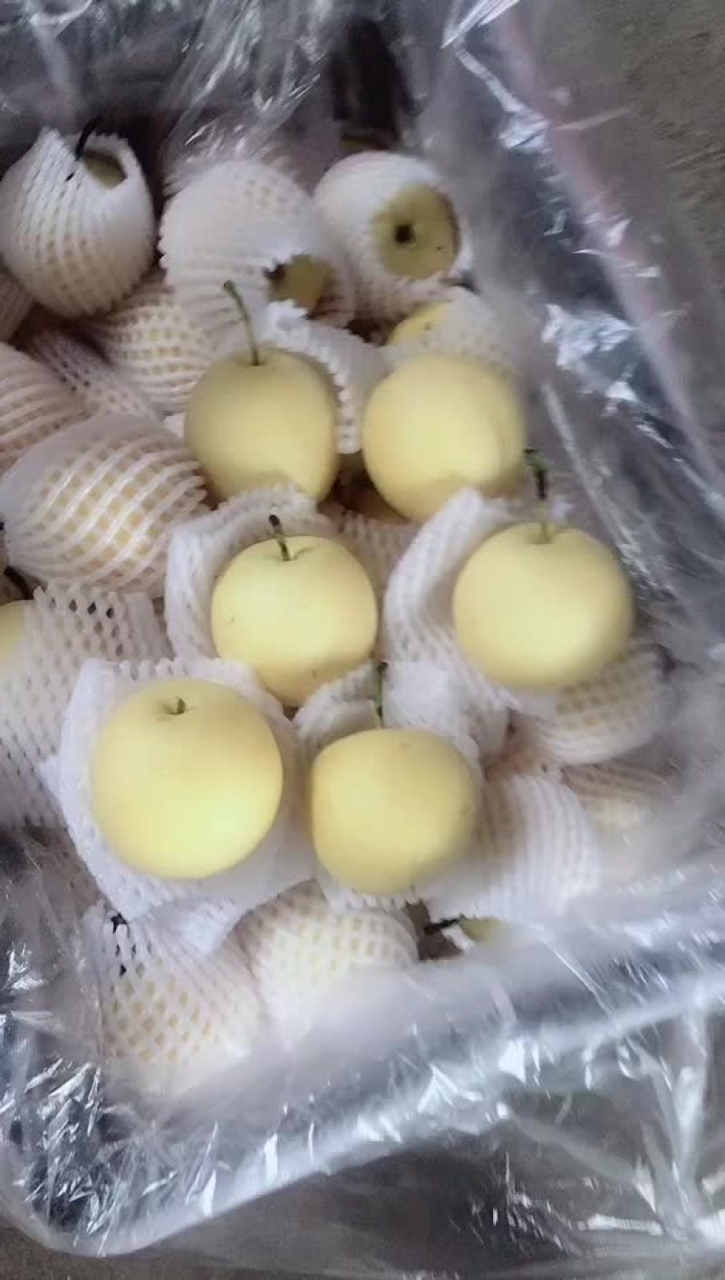 框装皇冠梨，海量货源，对接电商平台，超市市场