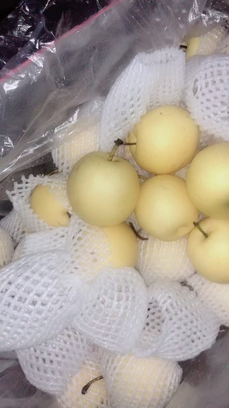 框装皇冠梨，海量货源，对接电商平台，超市市场