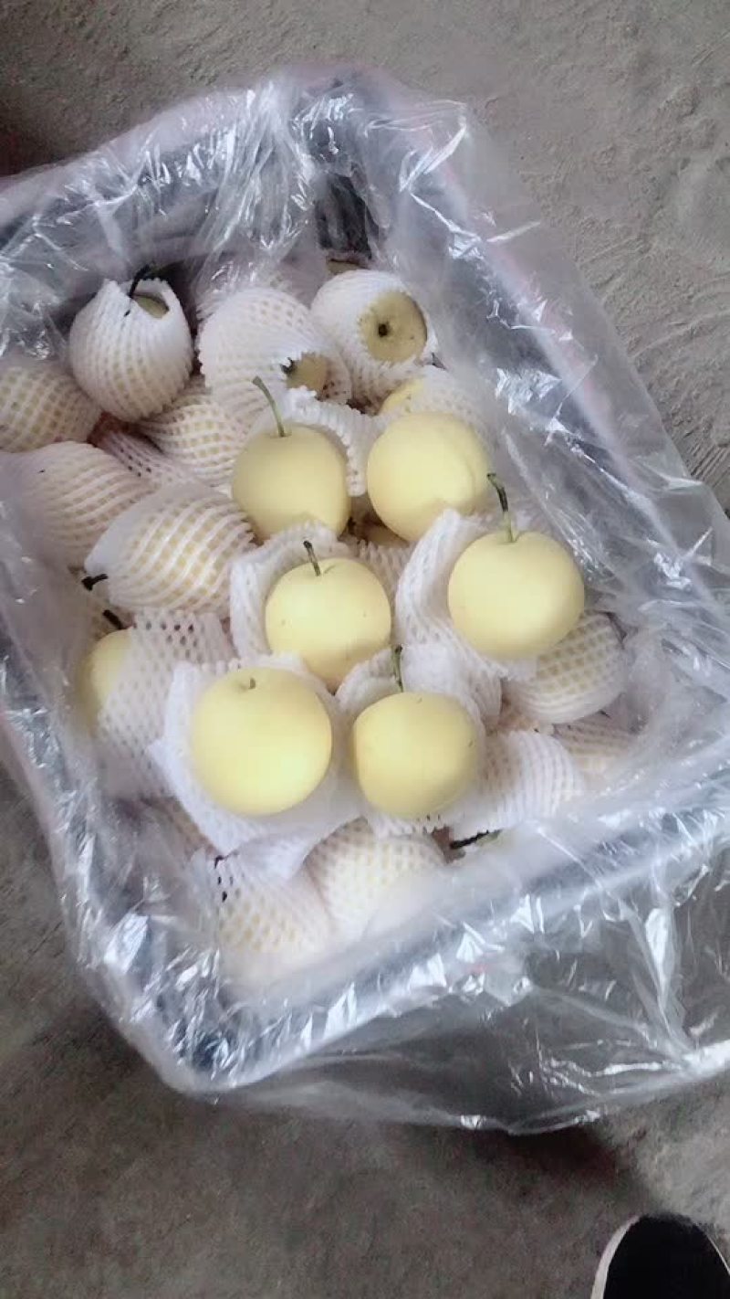 框装皇冠梨，海量货源，对接电商平台，超市市场