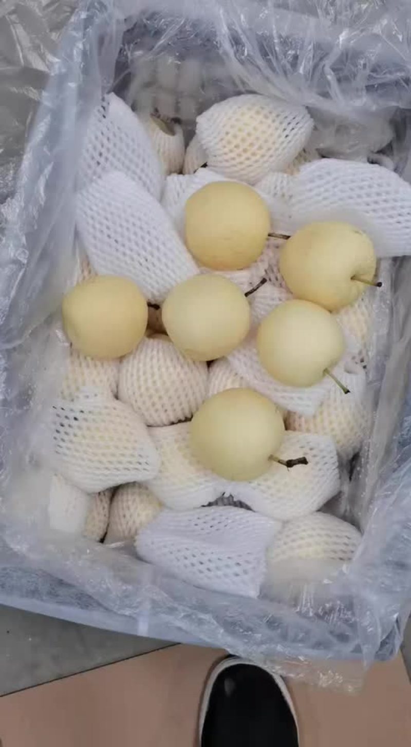 框装皇冠梨，海量货源，对接电商平台，超市市场