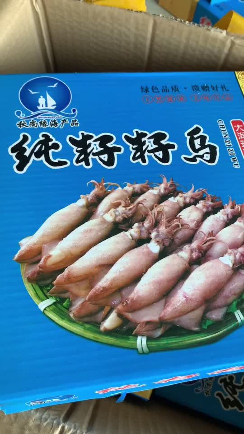 全籽大海兔