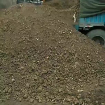 牛粪