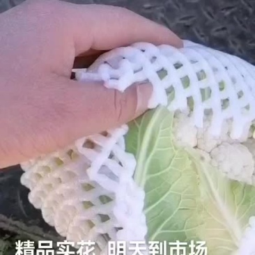 净菜