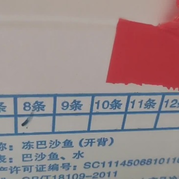开背巴沙鱼七八九十条