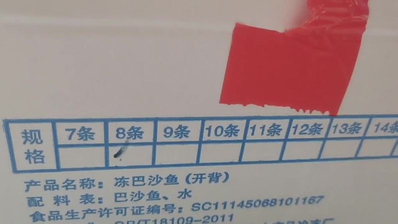 开背巴沙鱼七八九十条