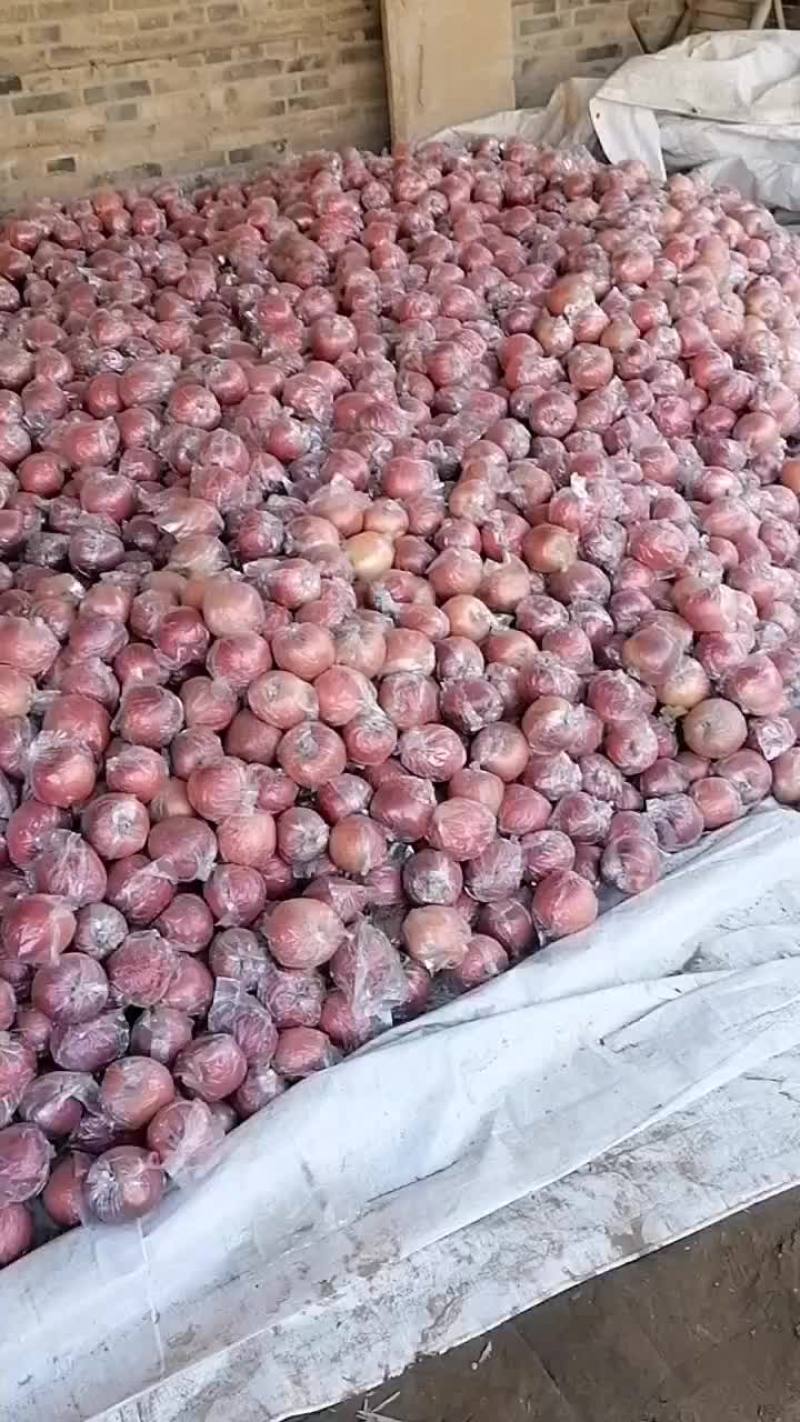 国红苹果有要的联系我