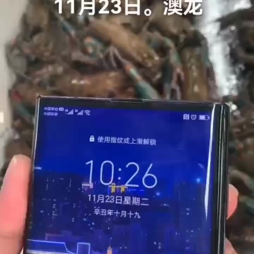 澳龙