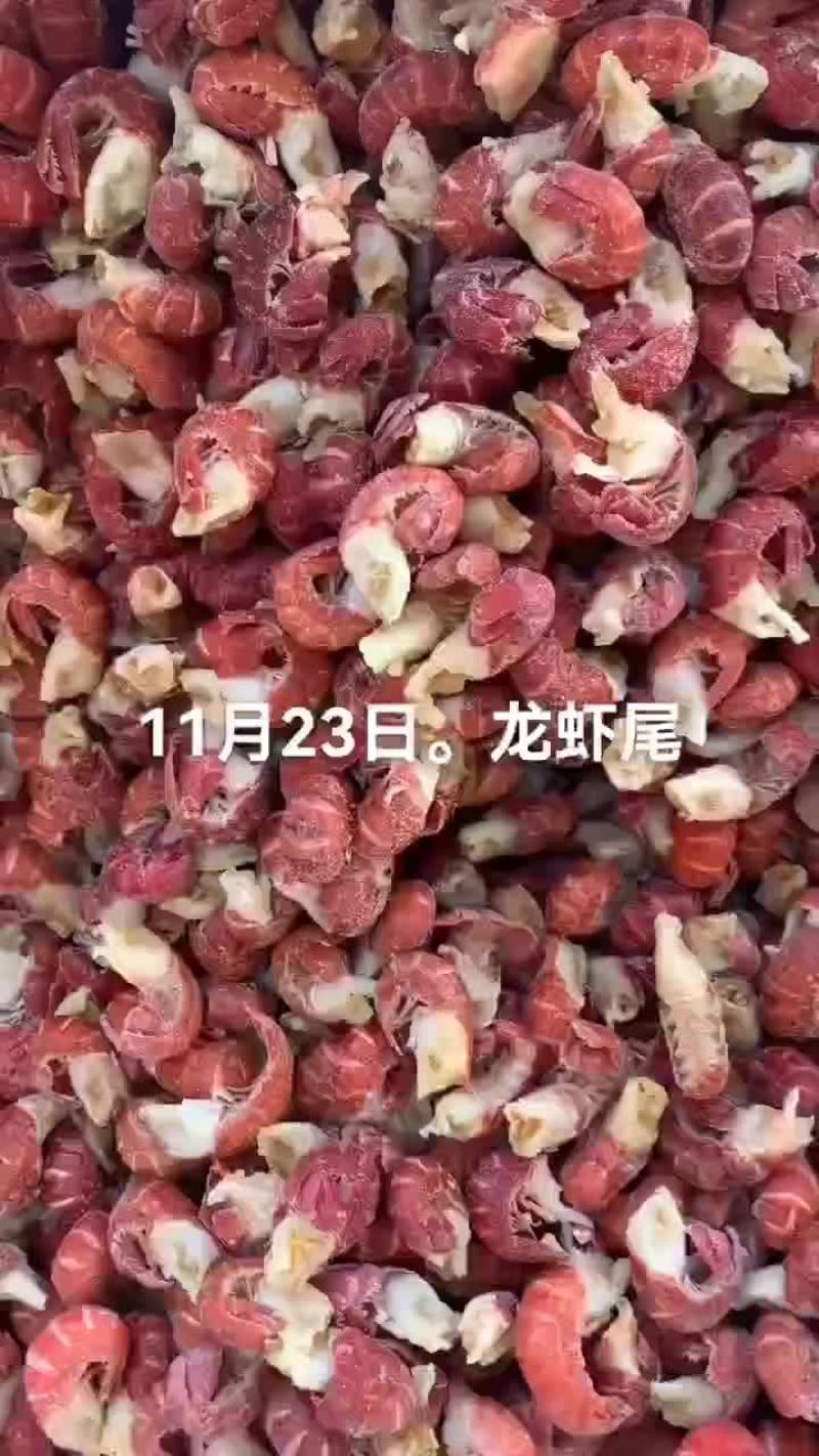 澳龙