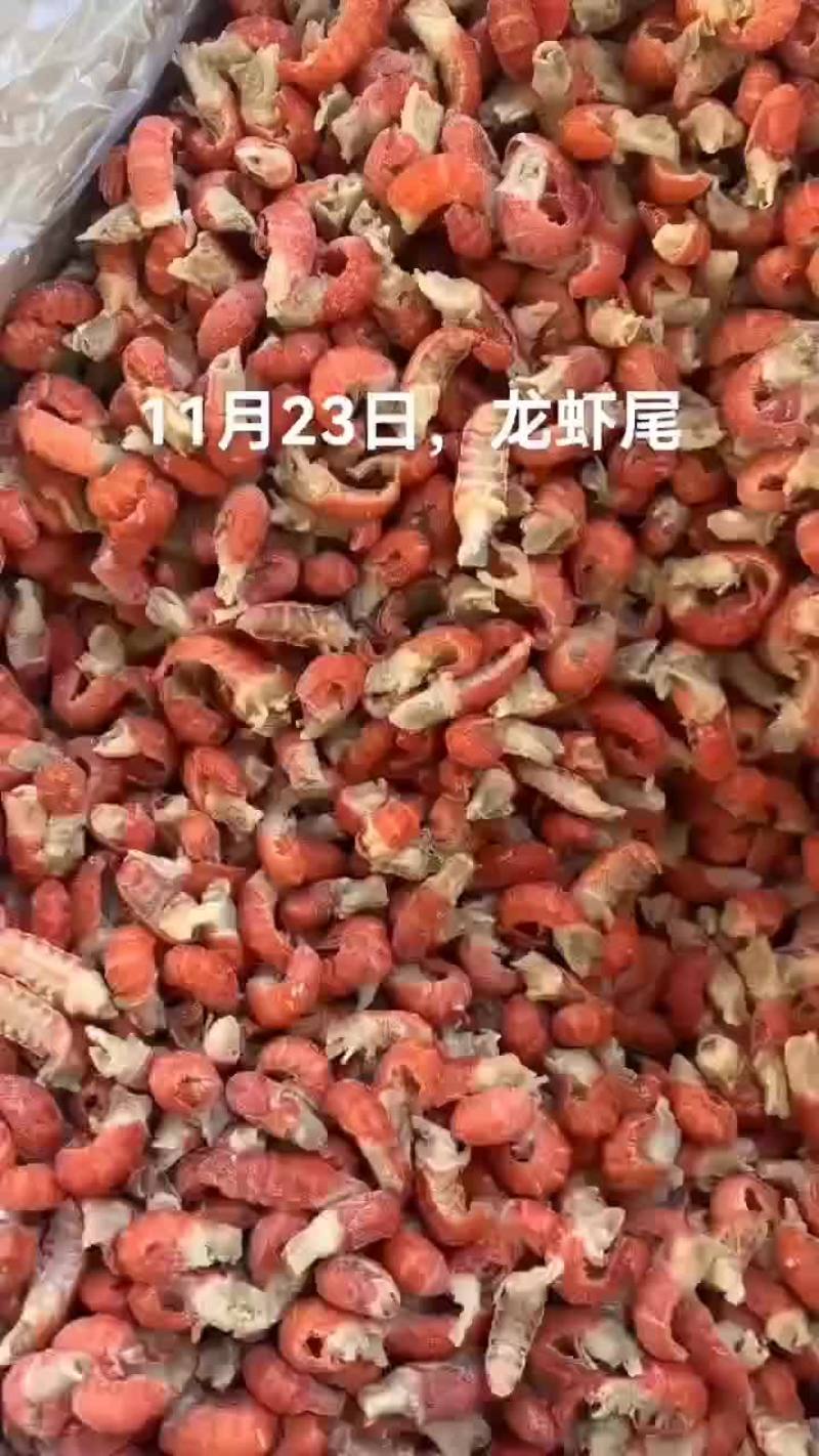 澳龙
