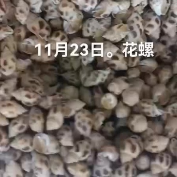 花螺
