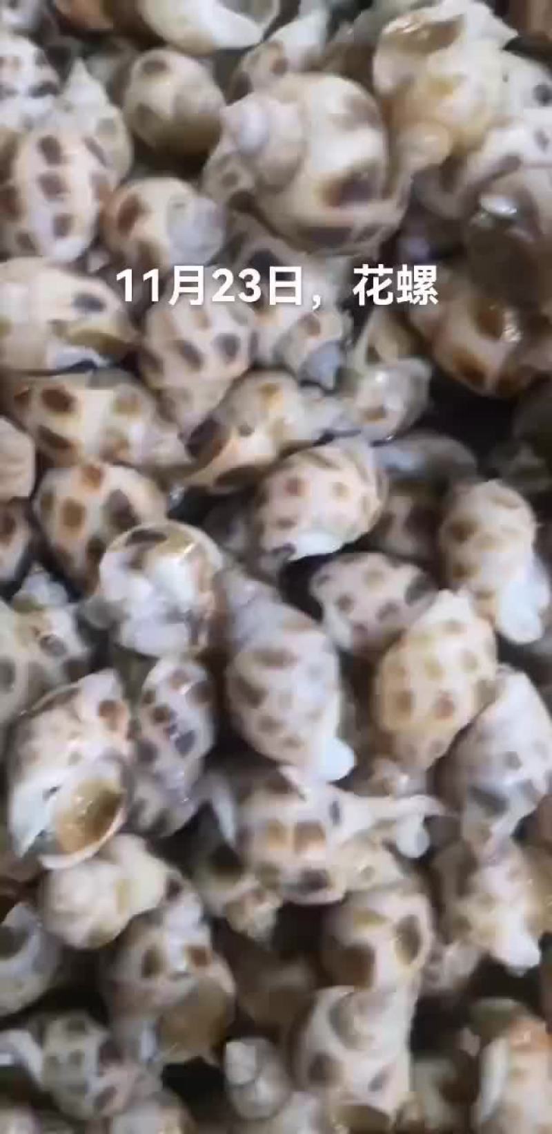花螺