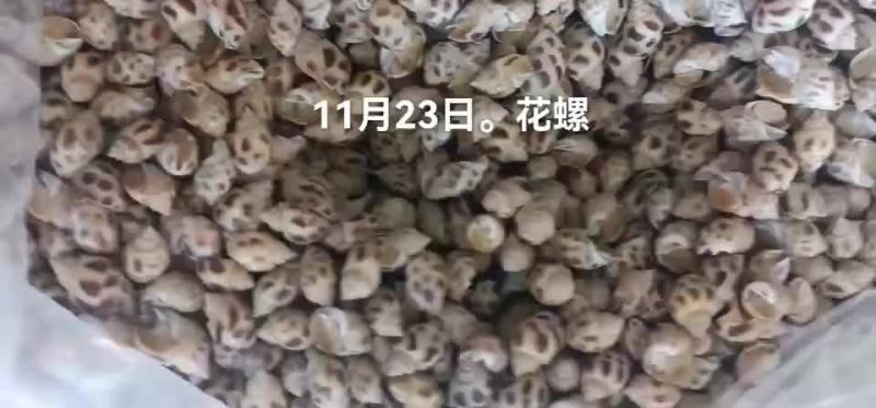 花螺