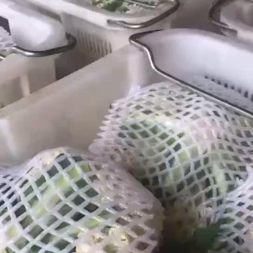 散花