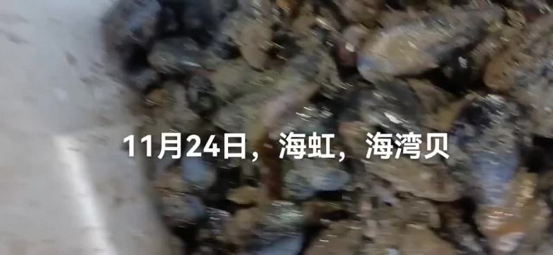 香螺