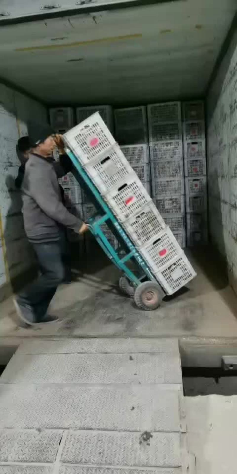 家庭农场种香菇