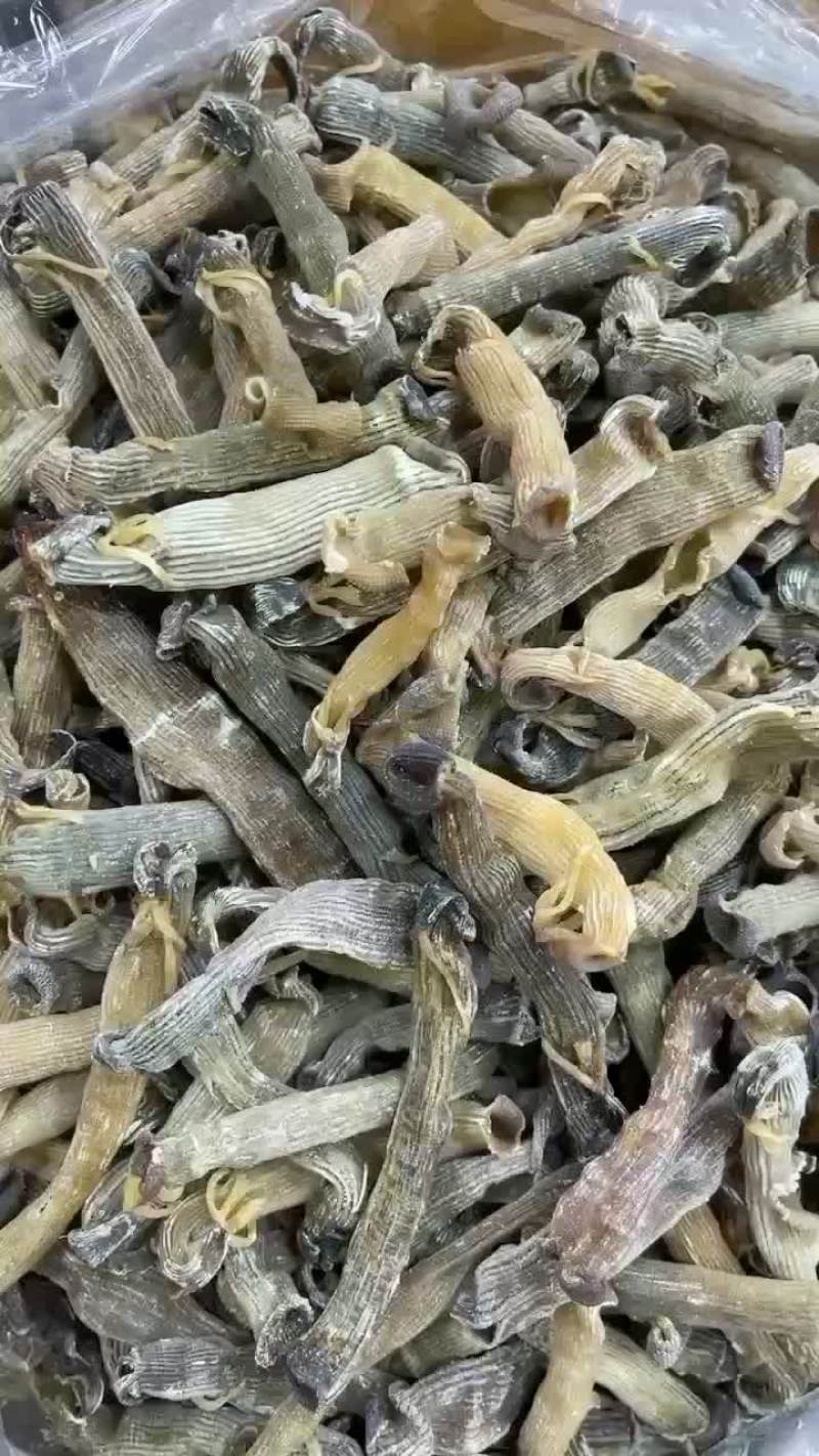 沙虫干