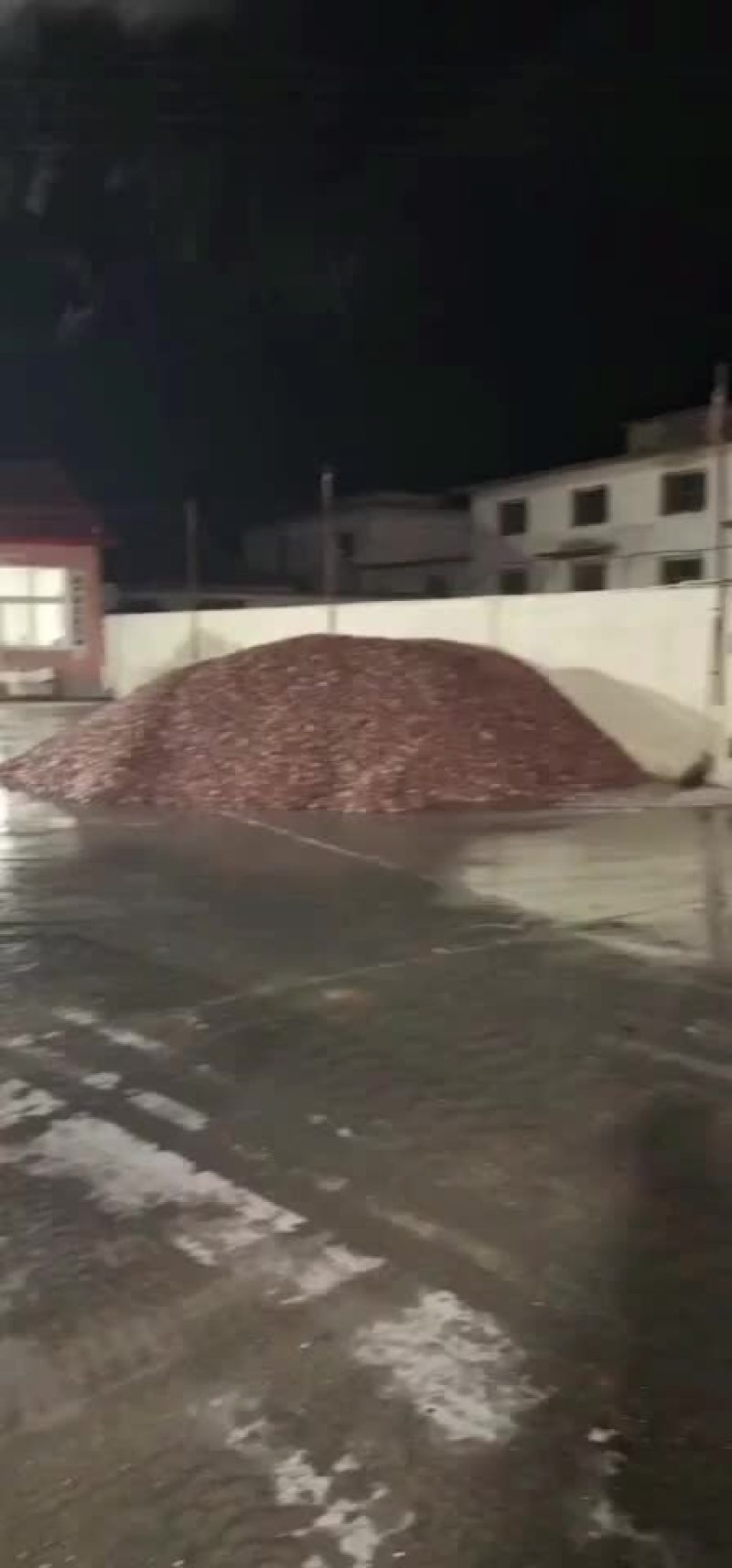 毛蚶肉赤贝肉