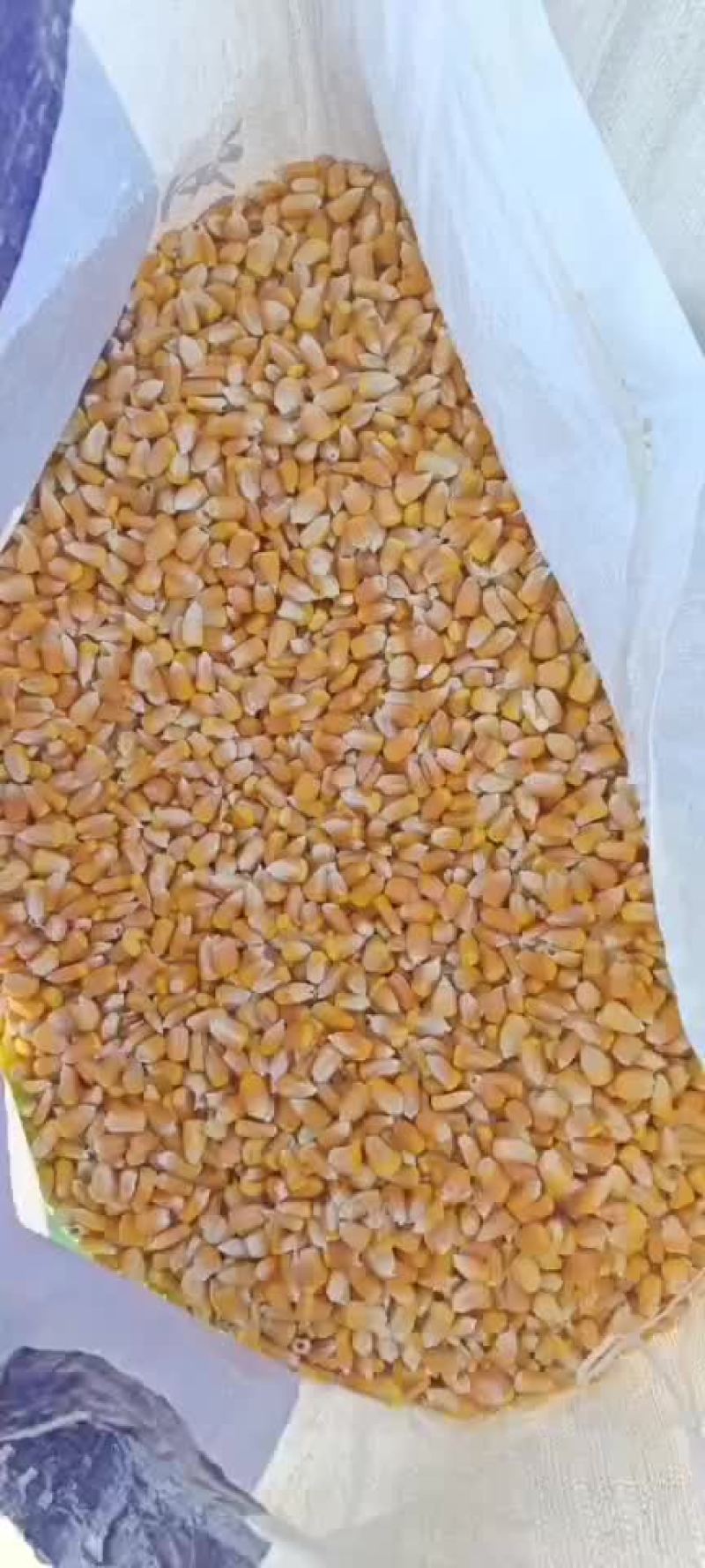 大量供应