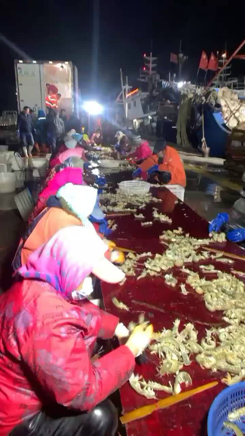 皮皮虾、琵琶虾、码头一手货源、质量好、价格便宜