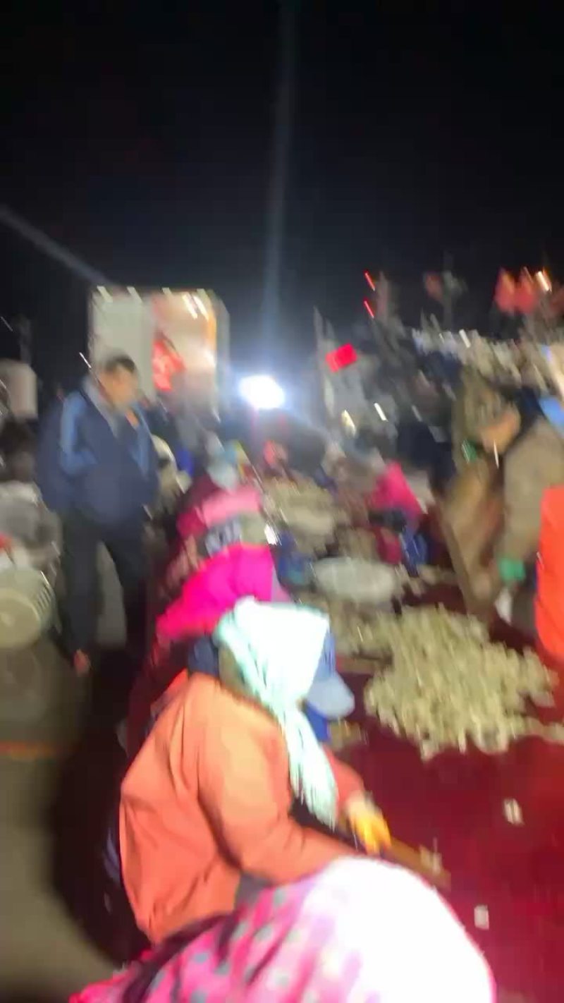皮皮虾、琵琶虾、码头一手货源、质量好、价格便宜