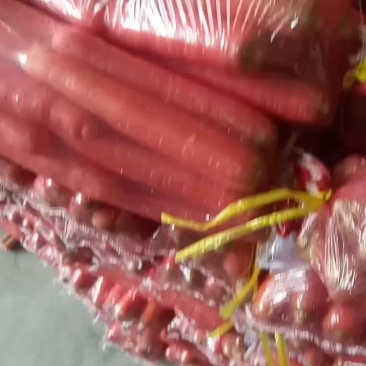 赵定蔬菜批发零售