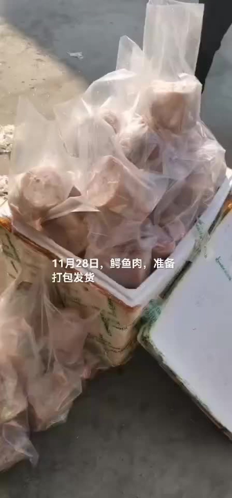 商品鳄鱼，鳄鱼肉