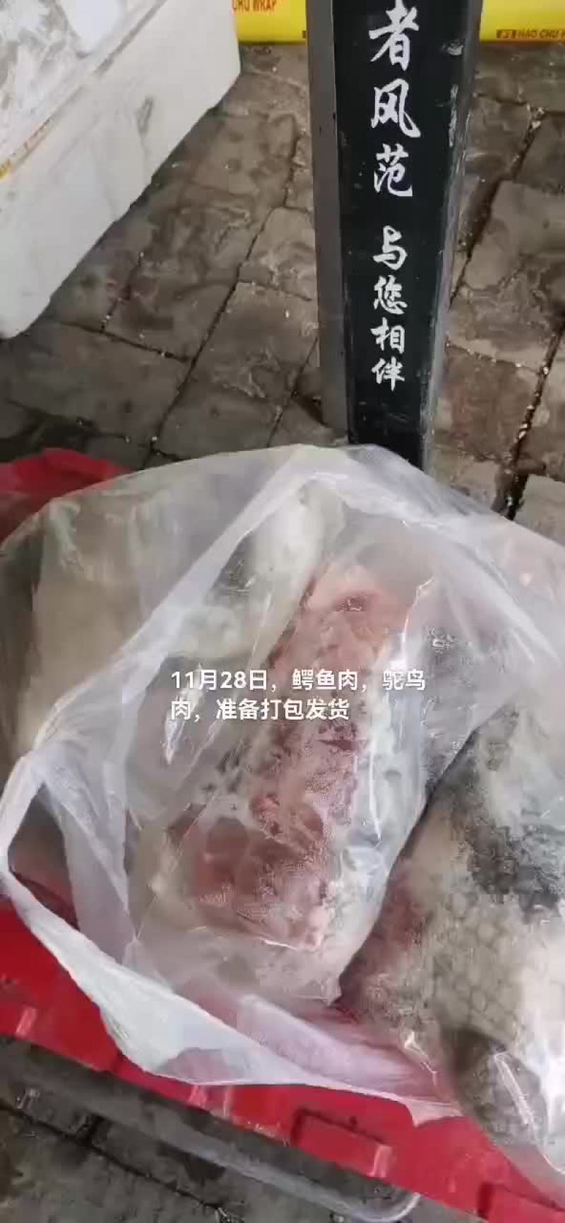 商品鳄鱼，鳄鱼肉