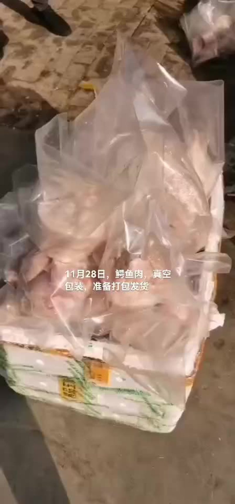 商品鳄鱼，鳄鱼肉