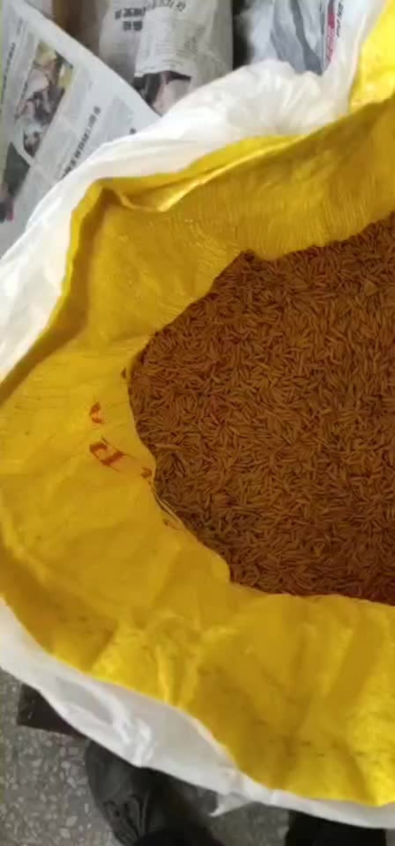 早稻谷