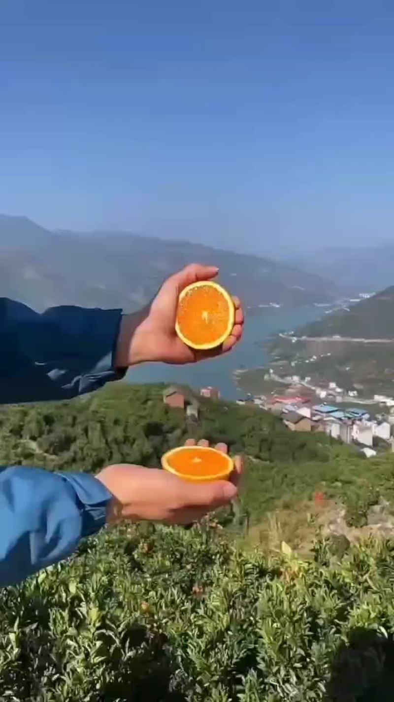 果冻橙