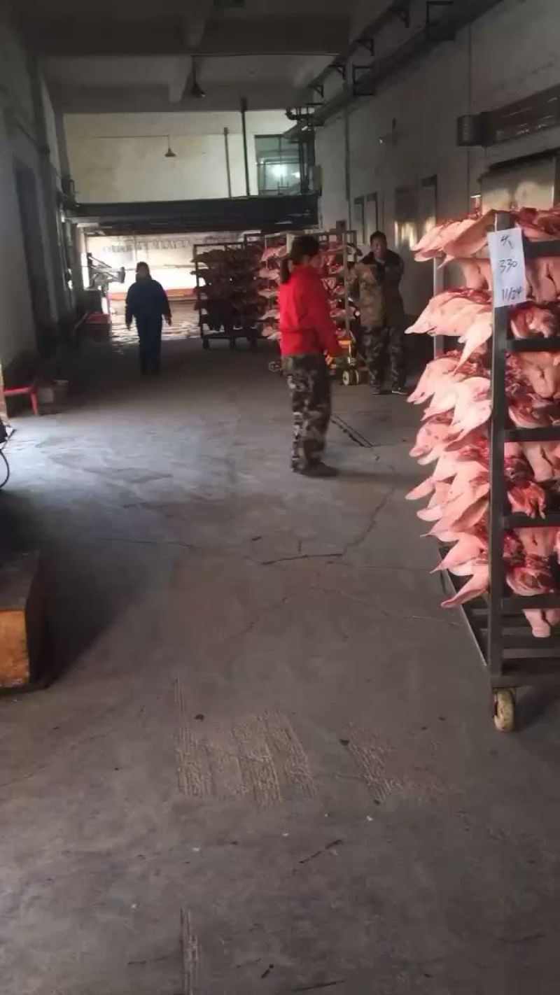 新鲜猪头，寻找稳定客源，每天500头
