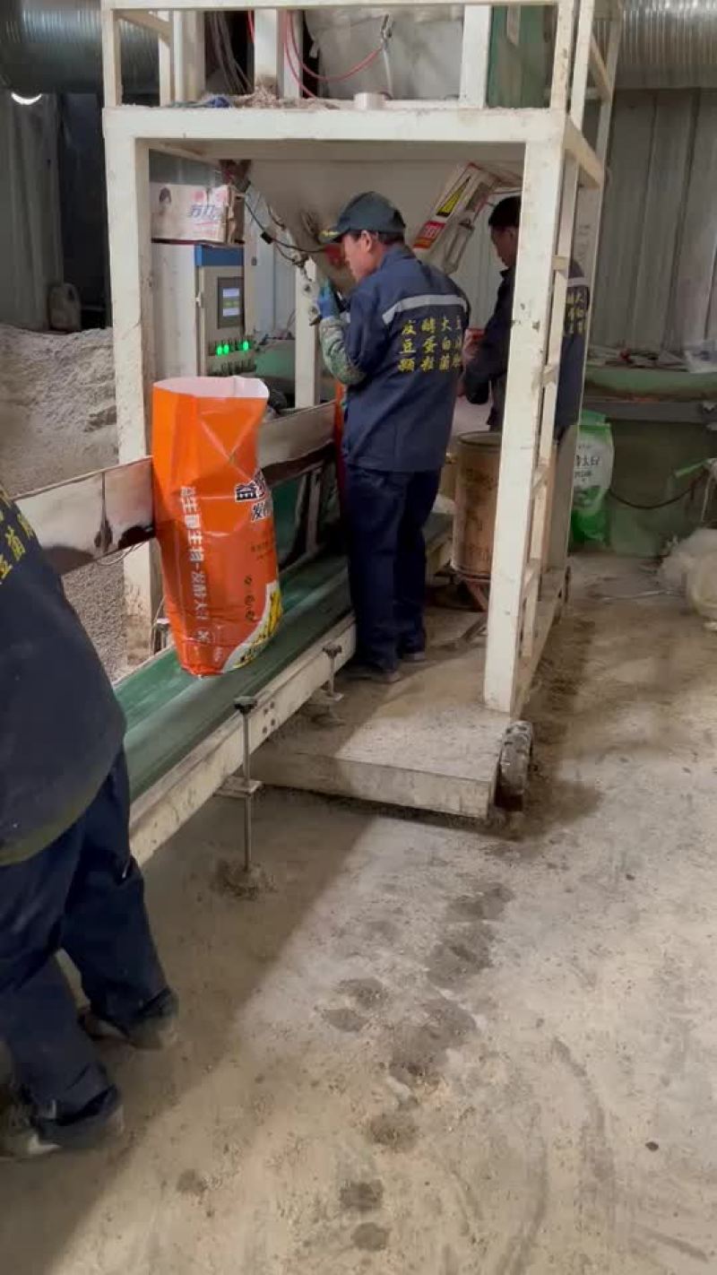 生物菌发酵大豆