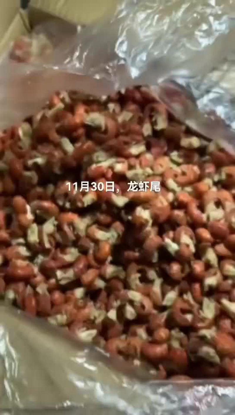 澳龙